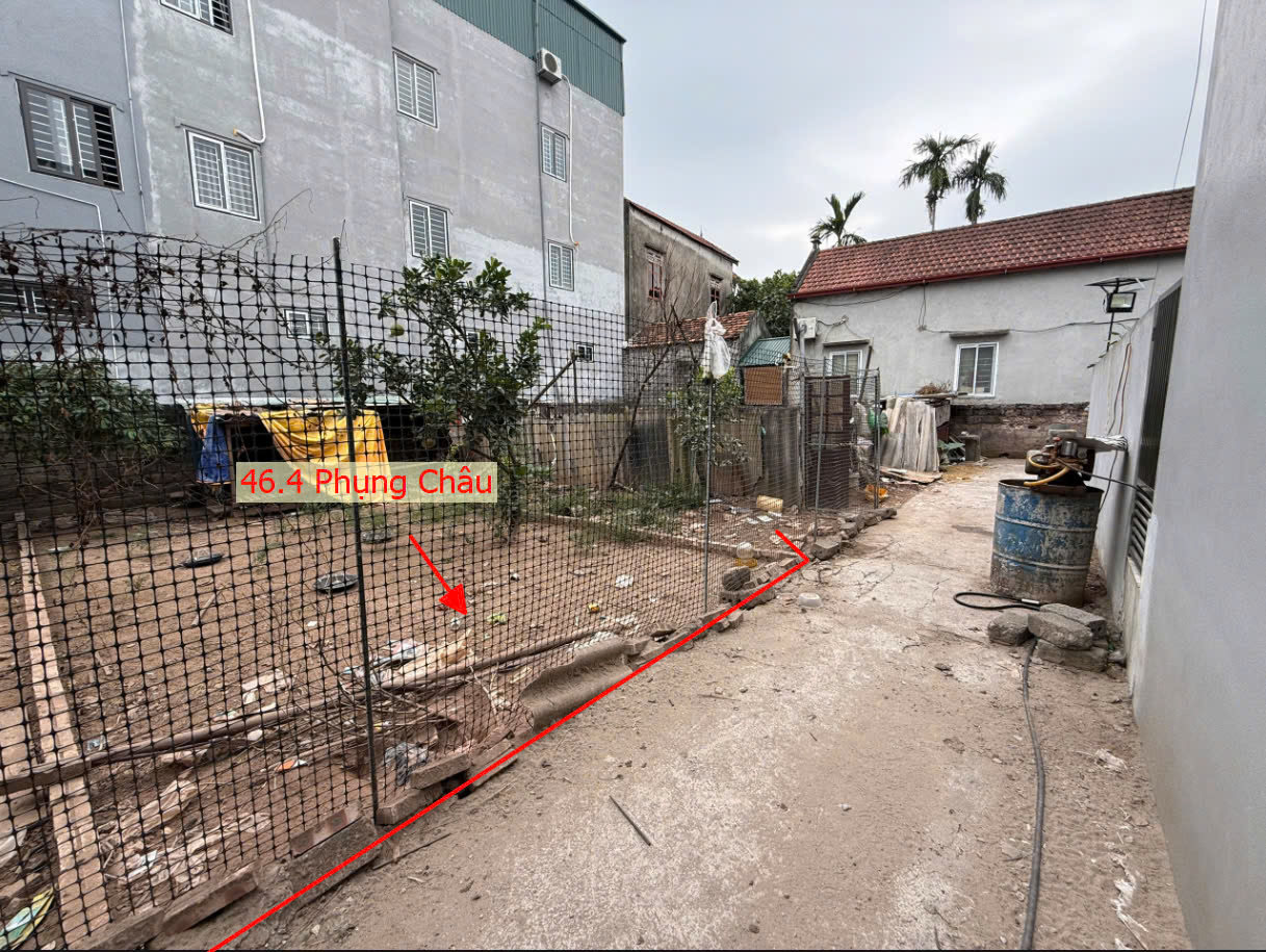 Hình ảnh Bán Đất Phụng Châu Ngay Sát Trục Chính Kinh Doanh Liên Huyện 