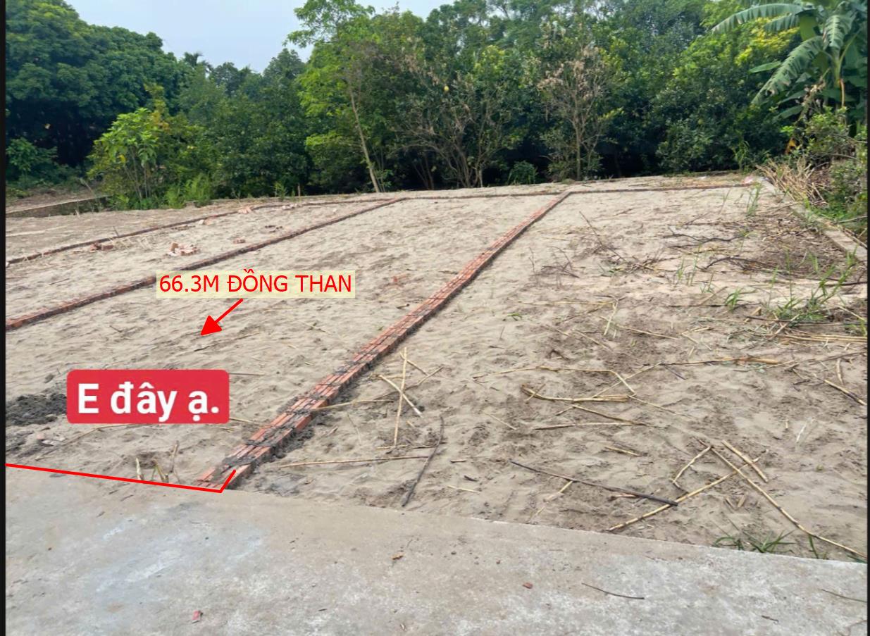 Hình ảnh Bán Lô Đất 66.3m Tại Đồng Than Yên Mỹ Bám Đường Bê Tông Ô Tô Vào Tận Đất Dân Cư Đông Đúc Giá Đầu Tư