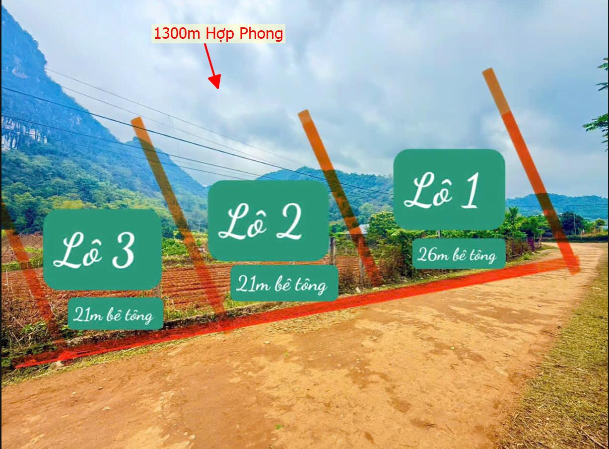 Hình ảnh Bán Lô Đất 1300m Tại Hợp Phong Cao Phong Bám Đường Bê Tông Ô Tô Vào Tận Đất Dân Cư Đông Đúc View Thoáng Mát Giá Đầu Tư
