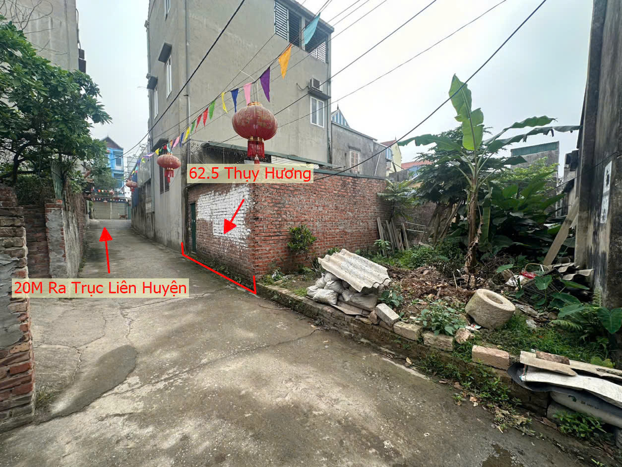 Hình ảnh Bán Thửa Đất 62.5m Tại Thụy Hương Ngay Sát Mặt Đường Kinh Doanh Liên Huyện Giáp Thị Trấn Chúc Sơn 