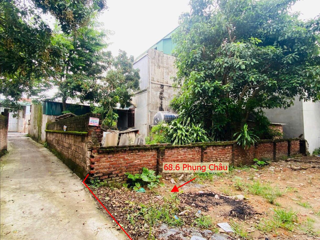 Hình ảnh Bán Thửa Đất 68.6m Tại Phụng Châu Chương Mỹ Sát Trục Kinh Doanh Liên Huyện Giá Chỉ Vài Tỷ