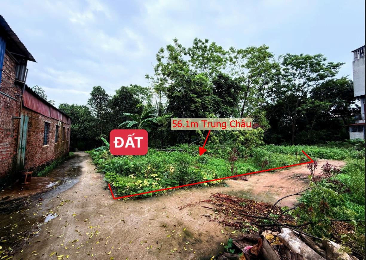 Hình ảnh Bán Lô Đất 56.1m Tại Trung Châu Đan Phượng Bám Đường Bê Tông Ô Tô Vào Tận Đất Gần CHợ Trường Học Ủy Ban Giá Đầu Tư