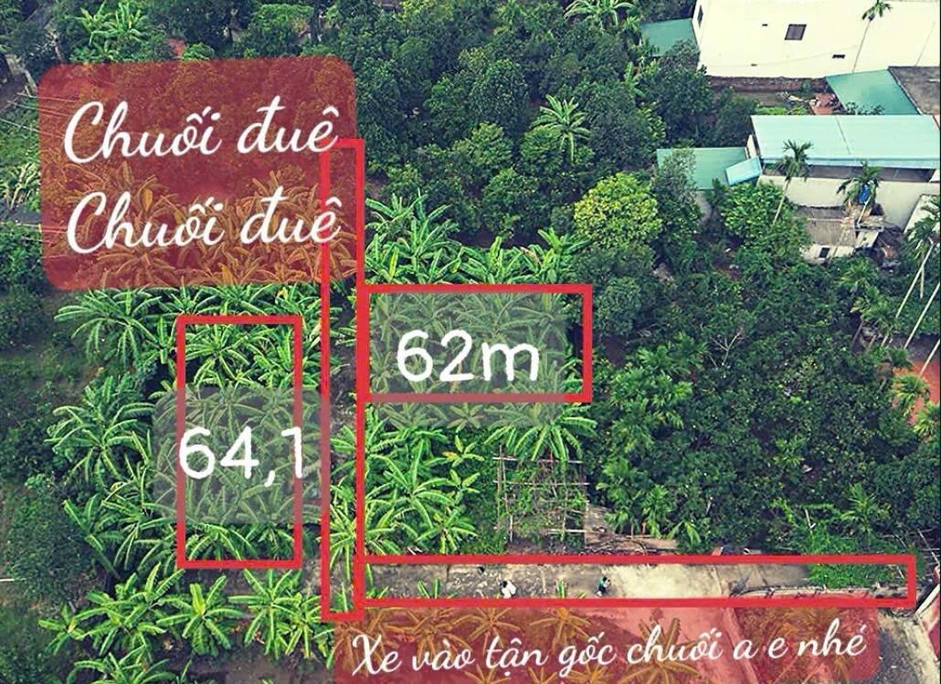Hình ảnh Bán Lô Đất 64.1m Tại TT Lương Bằng Kim Động Bám Đường Bê Tông Ô Tô Vào Tận Đất Dân Cư Đông Đúc Thân Thiện Đầy Đủ Tiện Ích Giá Đầu Tư