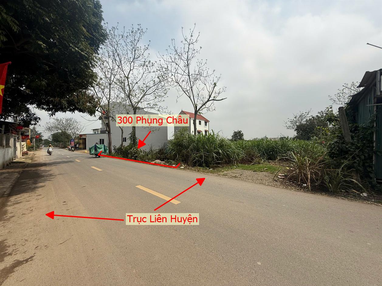 Hình ảnh Bán Thửa Đất Full Thổ Cư 300m Tại Phụng Châu Bám Mặt Đường Kinh Doanh Liên Huyện 