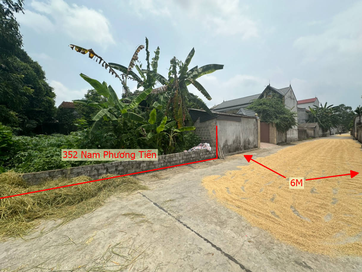 Hình ảnh Bán Đất Nam Phương Tiến Ngay Trung Tâm Xã Nam Phương Tiến Giá Chỉ Hơn Tỷ